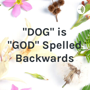 ”DOG” is ”GOD” Spelled Backwards