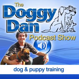 Episode Logo