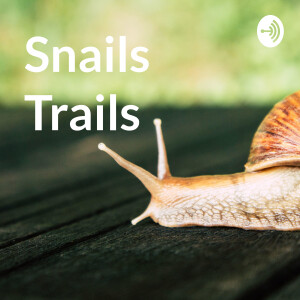 Snails Trails