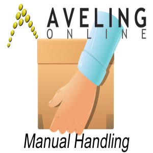 Manual Handling Course by AVELING