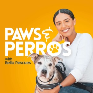 User Podcast Logo