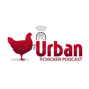 The Urban Chicken Podcast  - The Urbanite’s Podcast Resource for Keeping Backyard Chickens