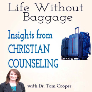 Life Without Baggage : Insights from Christian Counseling for Personal Growth