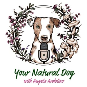 Your Natural Dog with Angela Ardolino - Formerly It’s A Dog’s Life