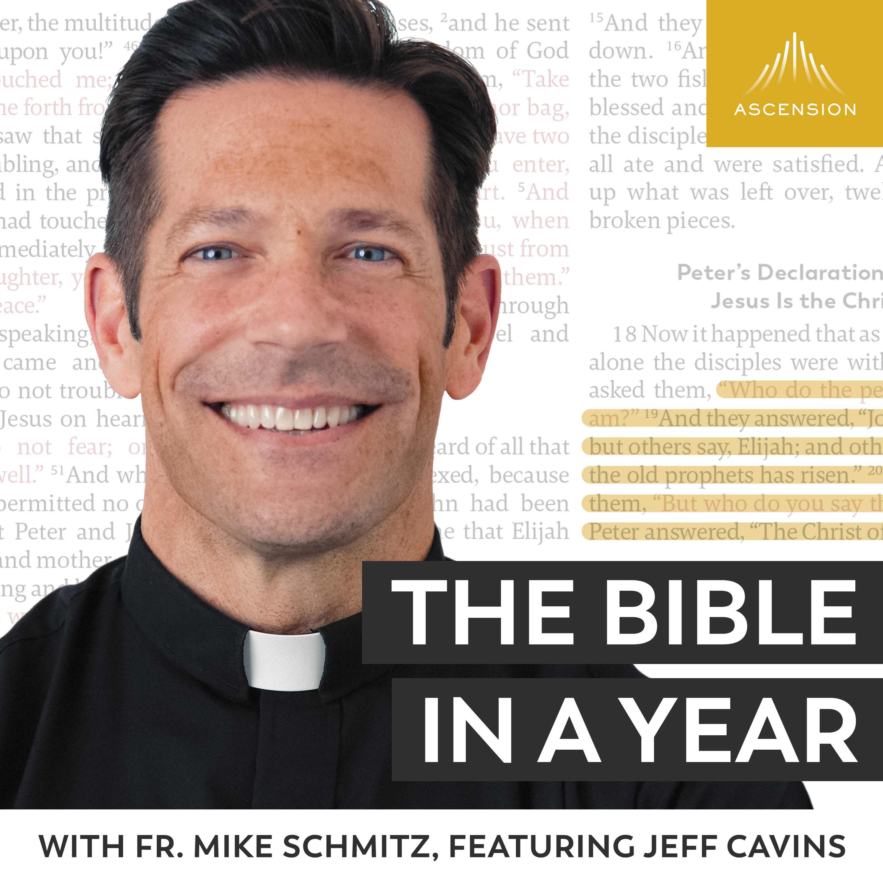 The Bible in a Year (with Fr. Mike Schmitz) Podcast Day 3 Noah's Ark
