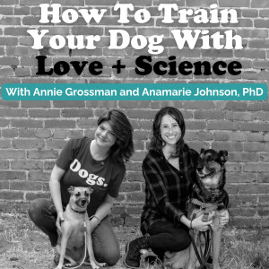 How To Train Your Dog With Love + Science - Dog Training with Annie Grossman + Anamarie Johnson PhD