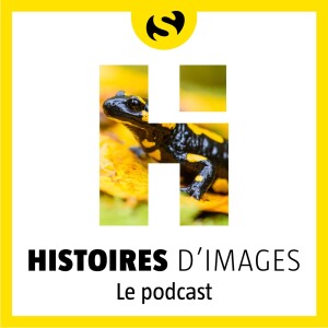 User Podcast Logo