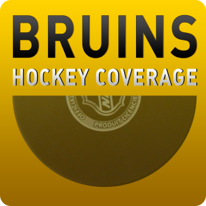 Boston Bruins Hockey