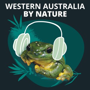 User Podcast Logo