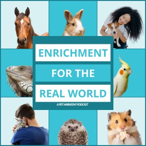 Enrichment for the Real World
