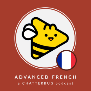 Chatterbug Advanced French