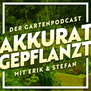 User Podcast Logo