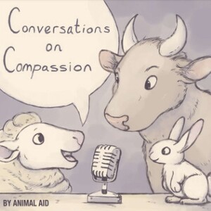 User Podcast Logo