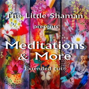 SHOWS - The Little Shaman Healing