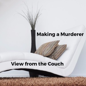 Making a Murderer: View from the Couch