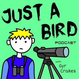 Just A Bird