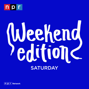 User Podcast Logo