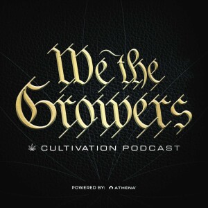 User Podcast Logo
