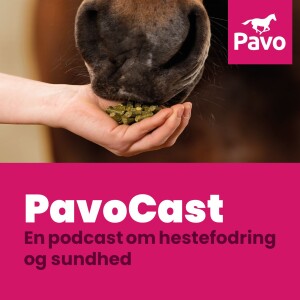 User Podcast Logo