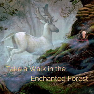 Take a Walk in the Enchanted Forest