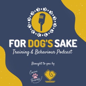 User Podcast Logo