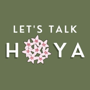 Let’s Talk Hoya