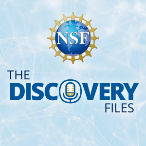 NSF's Discovery Files