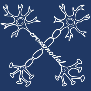 User Podcast Logo