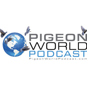 Pigeon World