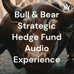 Bull & Bear Strategic Hedge Fund Audio Experience