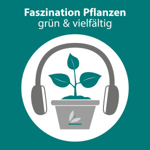 User Podcast Logo