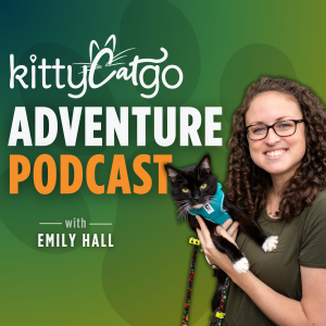 User Podcast Logo