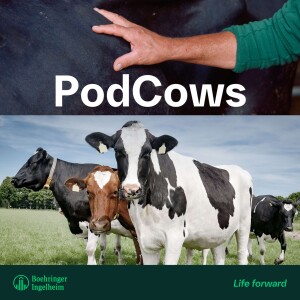 User Podcast Logo