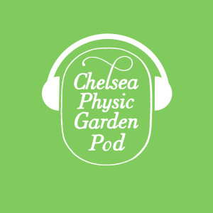 User Podcast Logo