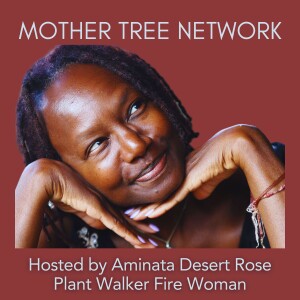 Mother Tree Network