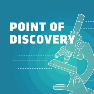 Point of Discovery