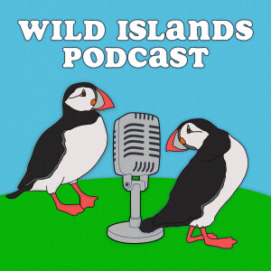 Wild Islands Podcast ― ✦ Oceans, Wildlife &amp; Conservation