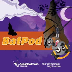 BatPod