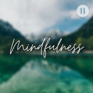 Mindfulness: Meditation, Positive Affirmations, Mindset Mentor, Happier