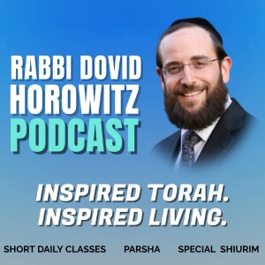 Rabbi Dovid Horowitz Podcast