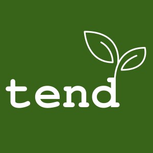 tend: a bible podcast