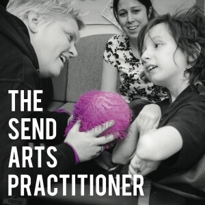 The SEND Arts Practitioner