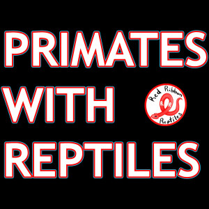 Primates With Reptiles