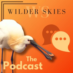 Wilder Skies the podcast