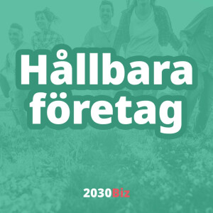 Hållbara företag – på resa mot omställningen