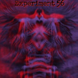 Experiment 56