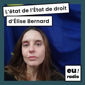 L'État de l'État de droit - Elise Bernard