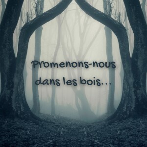 Promenons-nous dans les bois