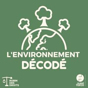 L'environnement décodé 