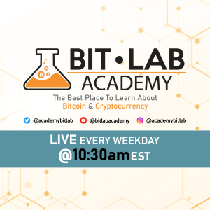 BitLab Academy